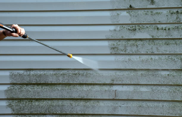Best Exterior Home Cleaning  in Louisvle, IL